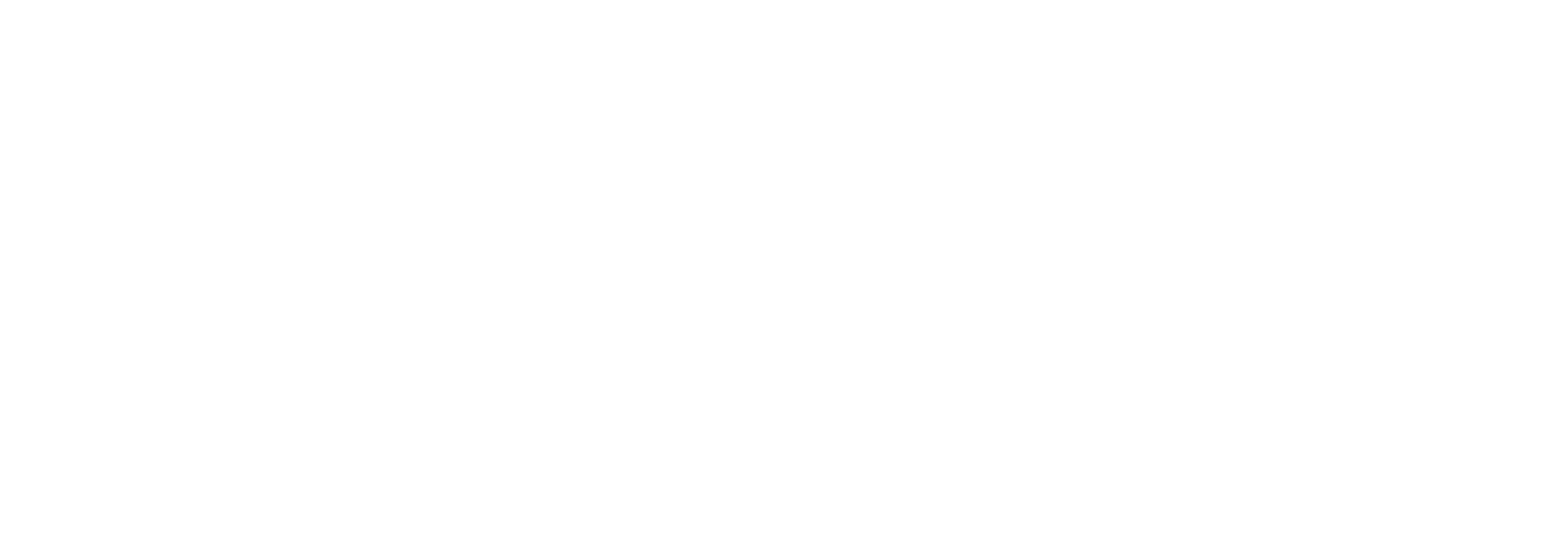 wp-logo-white